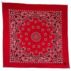 Mens Red Paisley Bandana Scarf Cotton Hav A Hank Made USA Biker Motorcycle Vtg